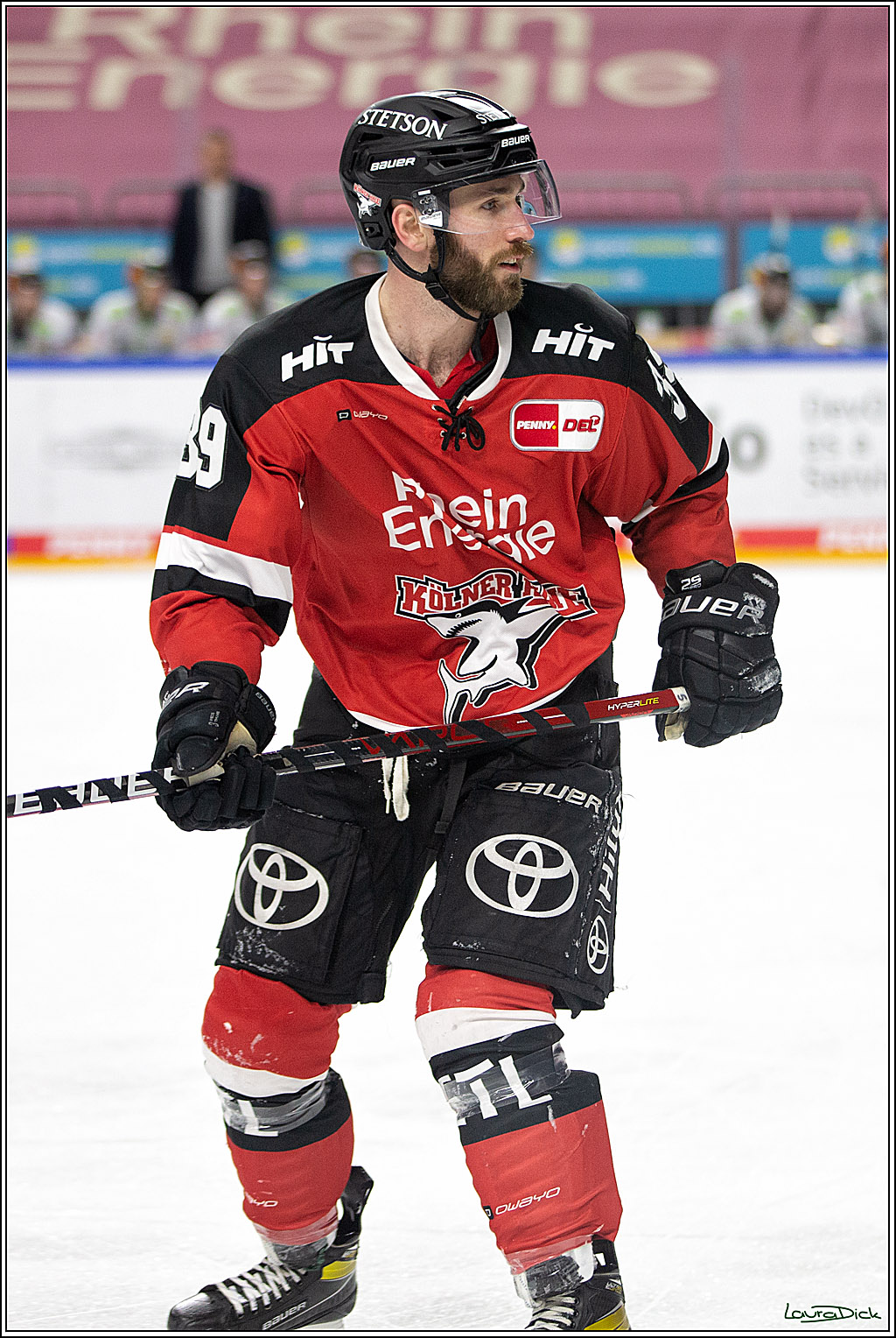 PENNY DEL; Koelner Haie- Eisbaeren Berlin; Koeln, 28.12.2021